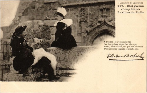 Cpa blei gwenn - (loup,