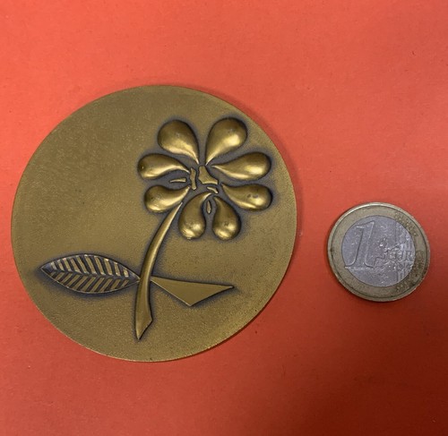 Magnifique médaille bronze - magnifique,