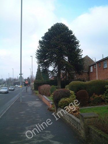 Photo 6x4 millpool - millpool, hill