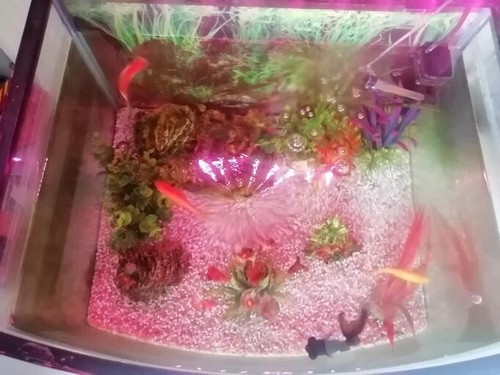 Aquarium litres pack - aquarium,