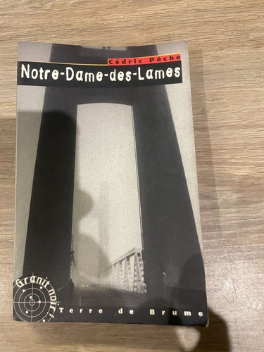 Livres notre dame - livres, des