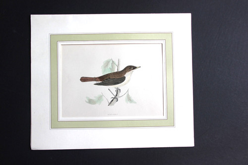 Gravure anglaise ancienne - , de