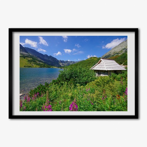 Tulup photo 100x70cm - tulup,