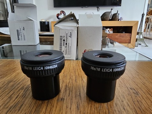 Leica 16x16 microscope
