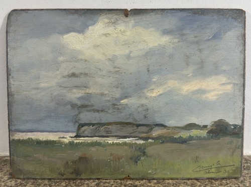 Huile sur panneau première