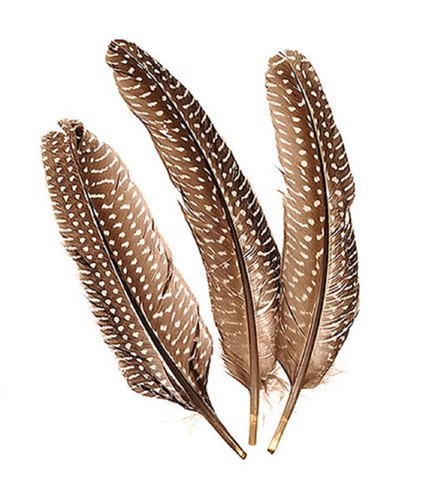6617980 lot plumes de - 6617980,