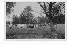 52 DAMMARTIN SUR MEUSE ECOLE