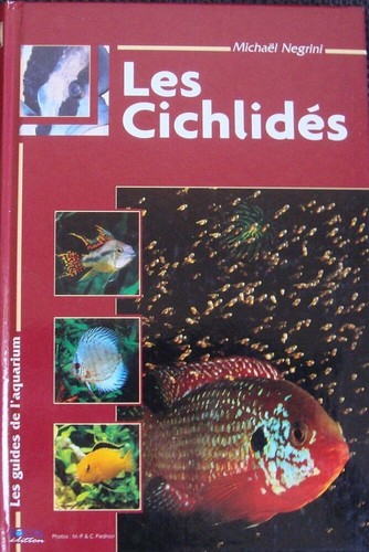 Les cichlides michael - |,
