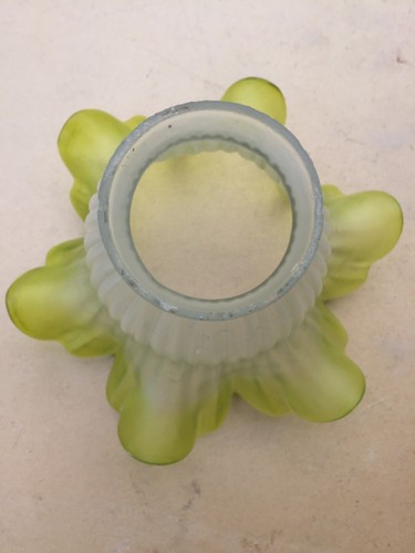 Ancienne tulipe verte - ancienne,