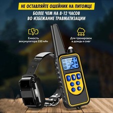 Collier de Dressage pour Chien  Télécommande Rechargeable  Étanche Efficacité