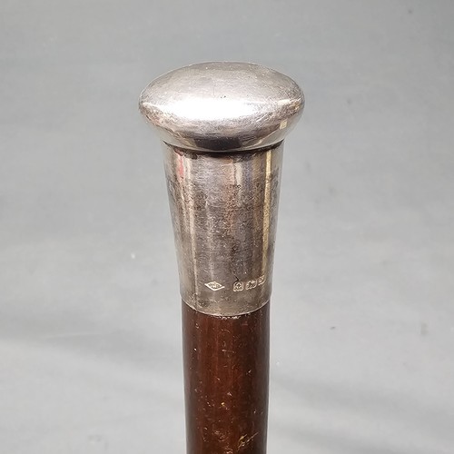 Ancien canne anglaise - canne, en