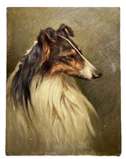 Tableau Ancien Peinture Huile sur Carton Portrait d’un Chien Colley Collie Dog