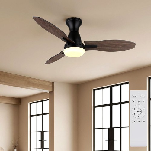 Ventilateur plafond - ventilateur,