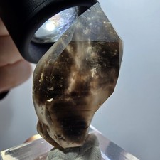 Rare Sceptre Squelette