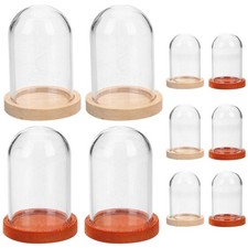  10 Pcs Petite Vitrine Cloche