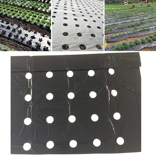 Film agricole serre - , plastique