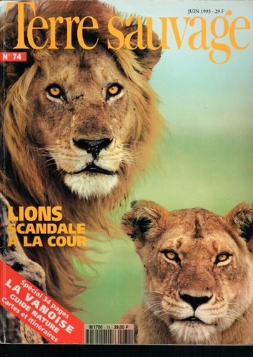 Terre sauvage lions - terre,