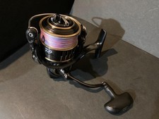 Daiwa reel Theory spinning