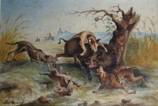 VÉNERIE CHASSE AU SANGLIER