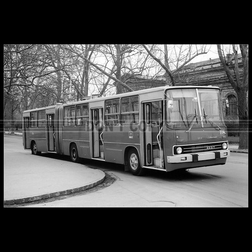 Photo 025556 ikarus 280t 91 - a.025556, 280t.91