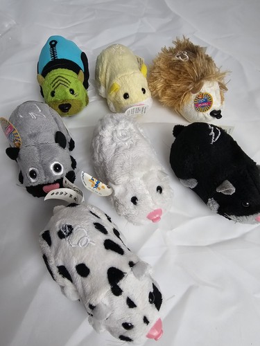 Zhu pets - zhu,