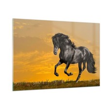 Impression sur Verre 100x70cm Tableaux Animaux cheval course à pied prairie