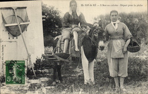 Ile ré l âne en - de,