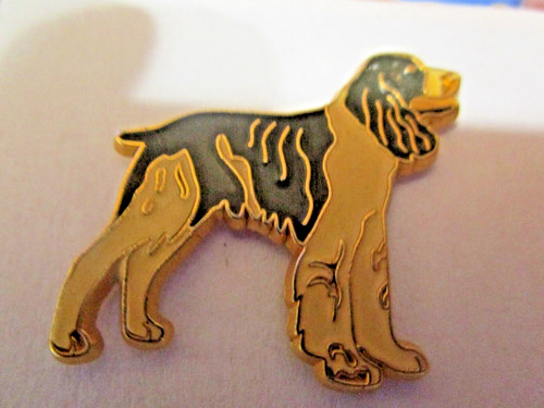 Pin chiens setter - ,