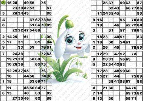 Plaque cartons de loto - 12,