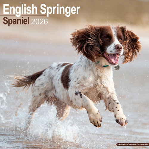 Calendrier 2026 springer - calendrier,