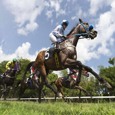 METHODE de TURF:  8 CHEVAUX pour jouer au Couplé / Tiercé / Quarté NMB (Courses)