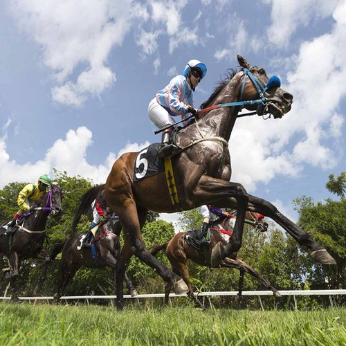 Methode turf 8 chevaux - turf:,