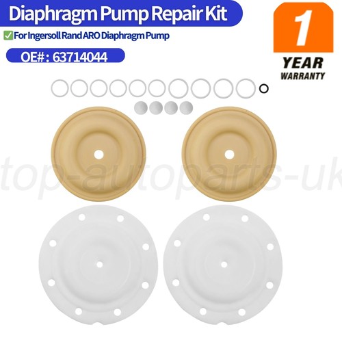Diaphragm pump repair - repair, kit