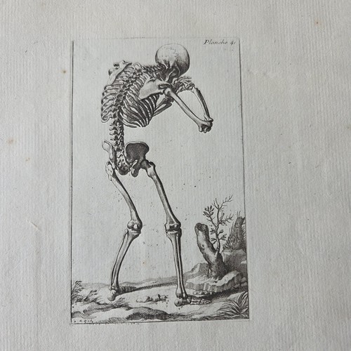 Gravure 1740 squelette memento - gravure,