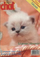 Atout chat n°44 : Le Persan