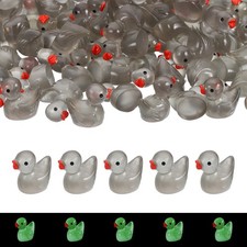 Canards Lumineux Résine