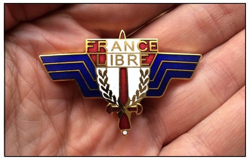 Insigne moustique ffl - moustique, fafl