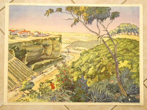 Affiche scolaire rossignol - affiche,