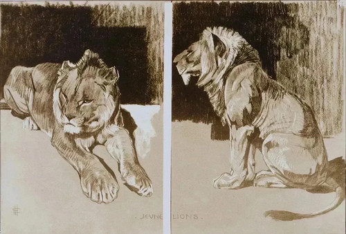 Mathurin meheut le - le, lion