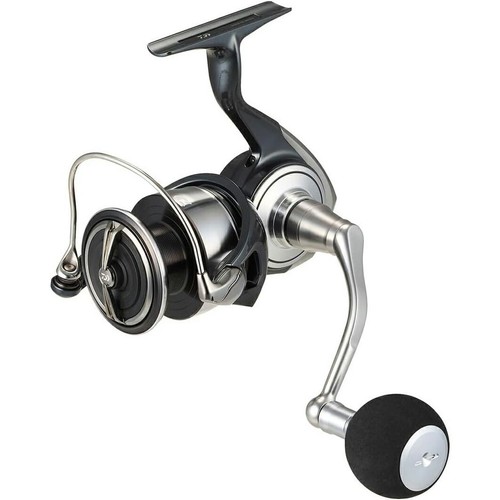 Moulinet pêche daiwa - de,
