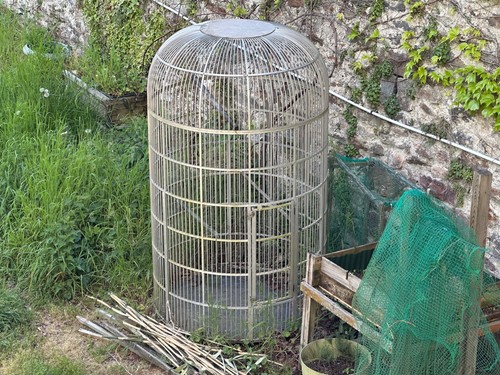 Rare volière perroquet - !!!!,
