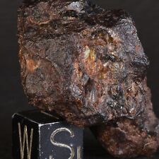 Météorite NWA 15738 de 29,30 g - Pallasite individuelle  Northwest Africa