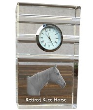 Cheval De Course Retraité -