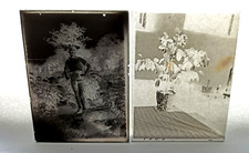 Négatif sur une plaque photographique en verre. Bavaria.Germ, 1920s Original....