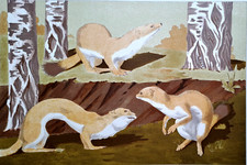 Rare LITHOGRAPHIE "Hermines