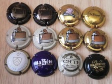 Lot de 12 capsules de Bières