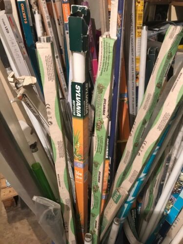 Arcadia tube ultra clear - tube,