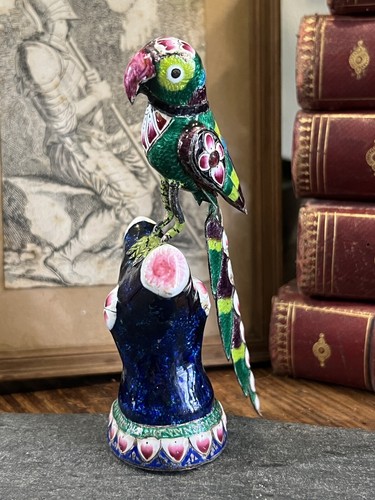 Oiseau indo persian argent - persian,