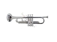 Indien Musical Classique Bande