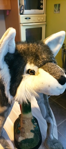 Peluche loup type pub - loup,
